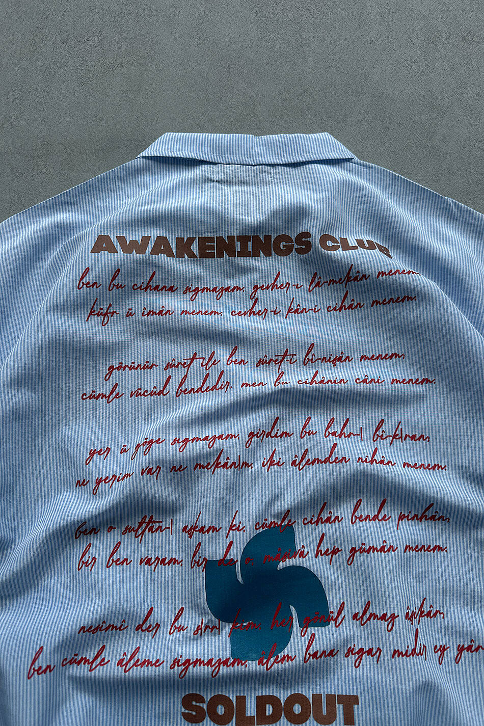 Awakenings Club İnce Mavi Çizgili Boxy Fit Crop Gömlek · 5